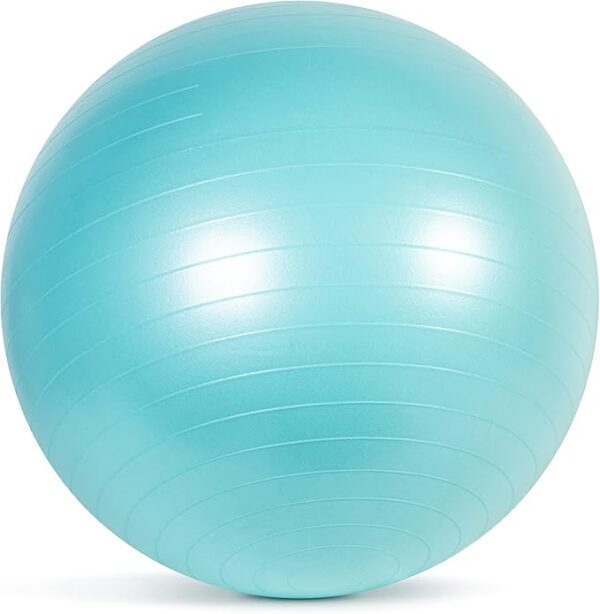 Barbell Stability Ball